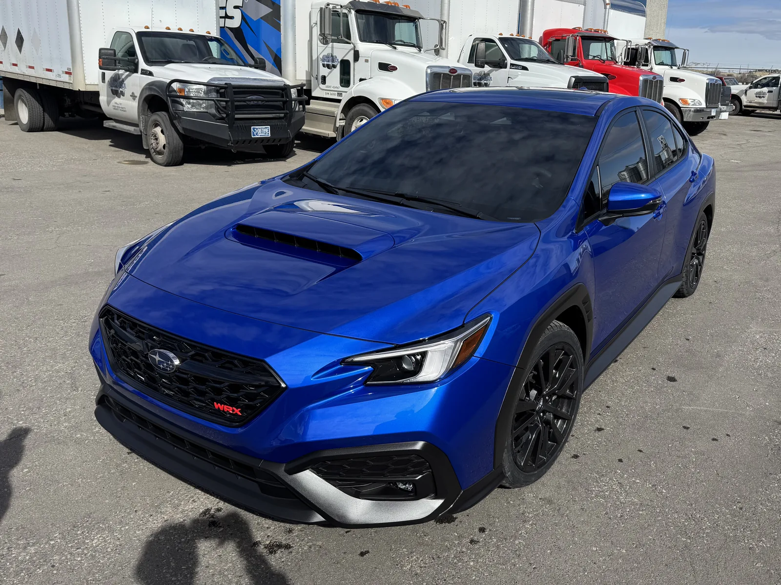 Recent project — blue Subaru WRX with fresh tint